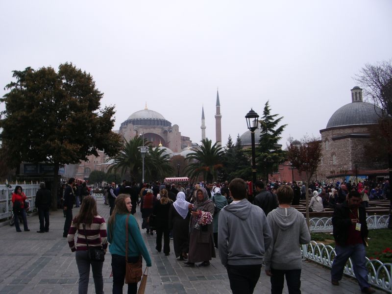 IMGP2303.JPG