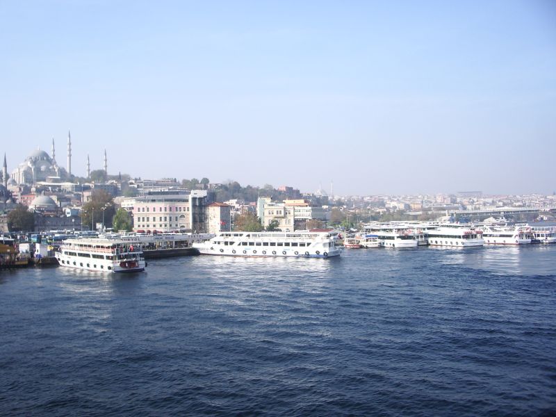 IMGP2339.JPG