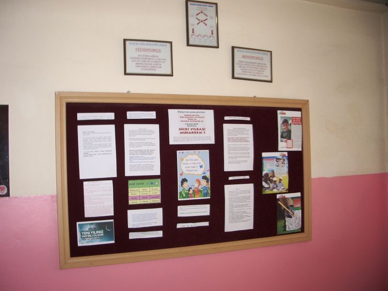 IMGP2381.JPG