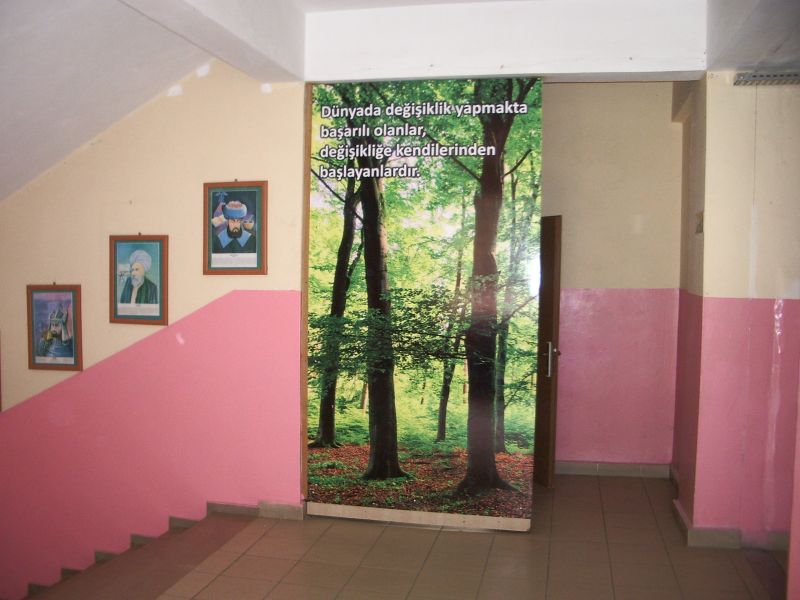 IMGP2402.JPG