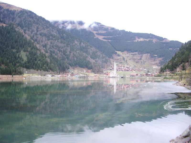 IMGP2540.JPG