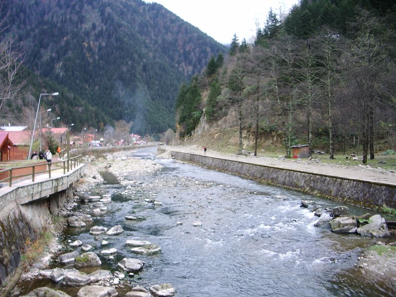 IMGP2543.JPG