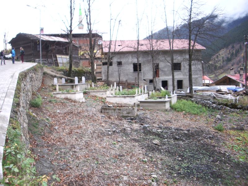 IMGP2547.JPG