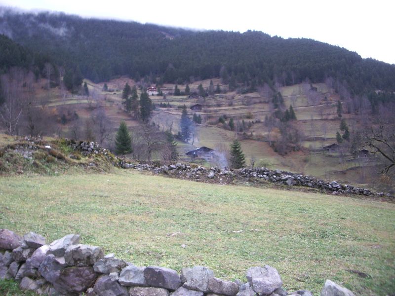 IMGP2550.JPG