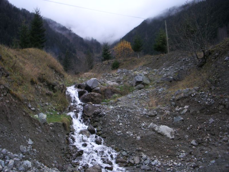 IMGP2551.JPG