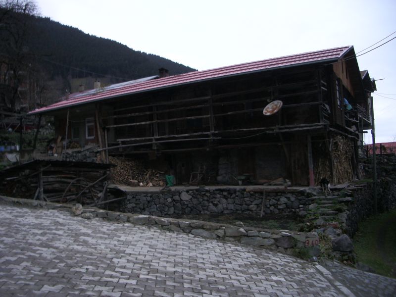 IMGP2552.JPG