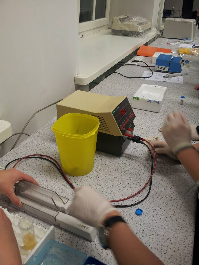 20142015biotehno032.jpg