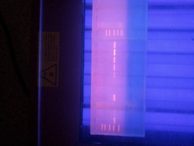 20142015biotehno047.jpg