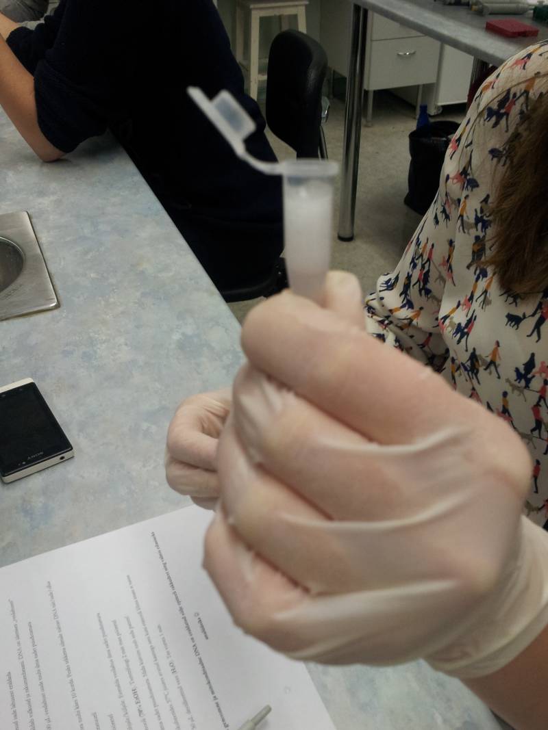 20142015biotehno062.jpg