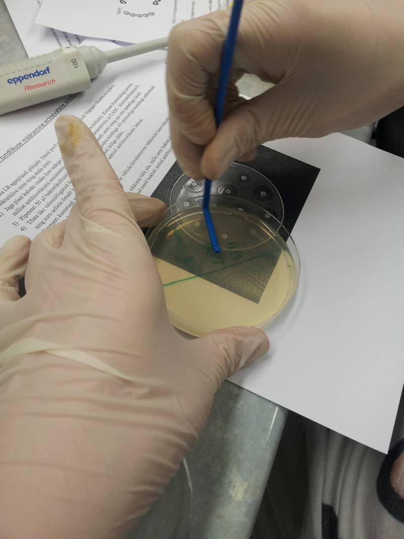 20142015biotehno079.jpg