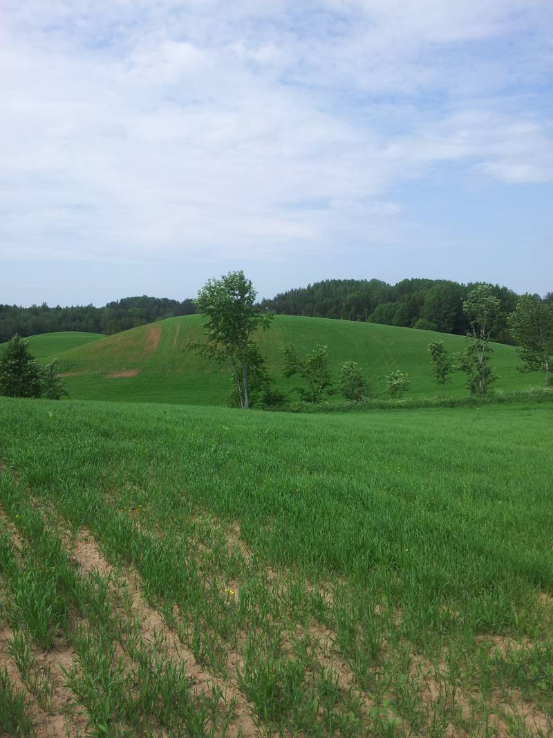 2014botaanikaprax_10b063.jpg