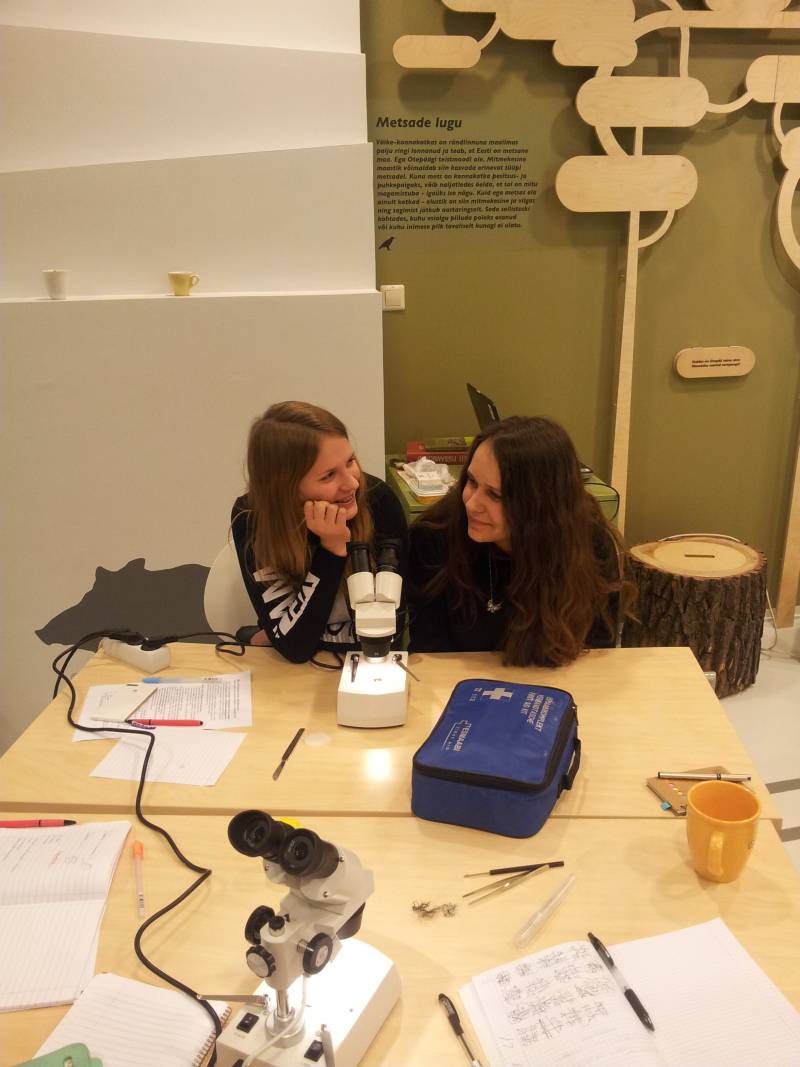 20142015pungaprax_10b013.jpg