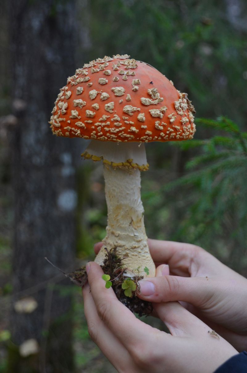2014_seenepr007.jpg