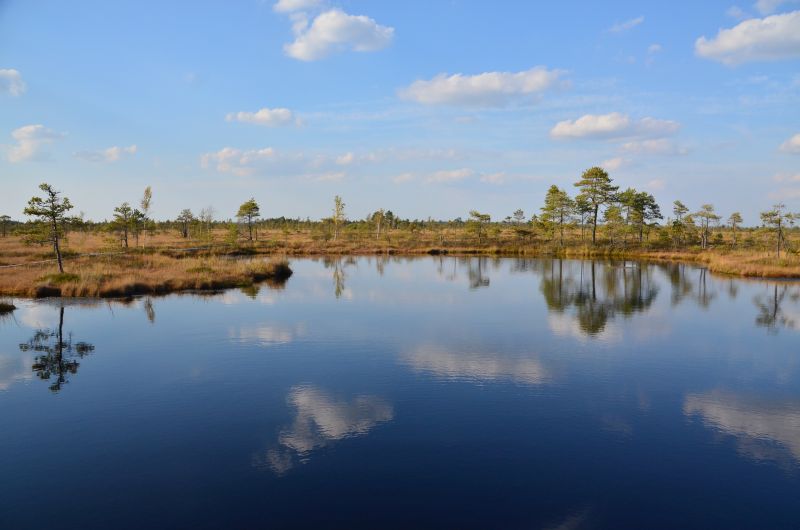 2014_seenepr044.jpg