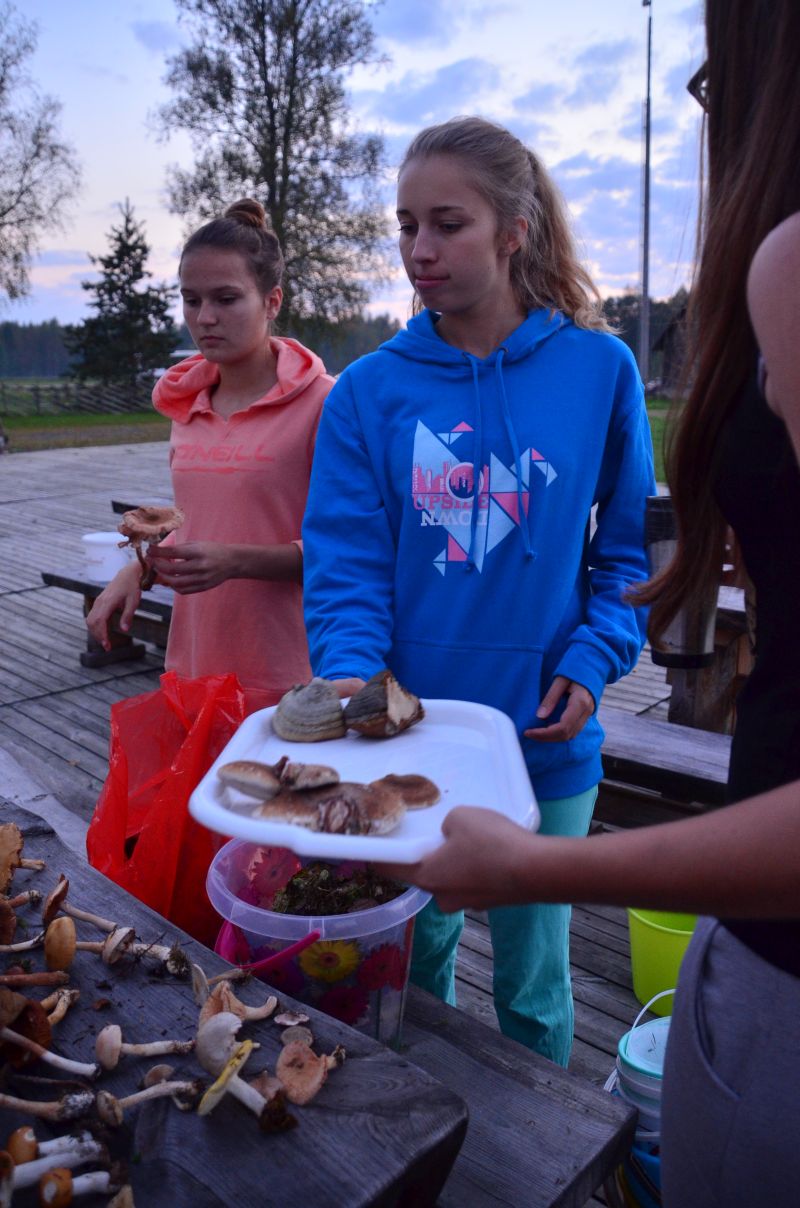 2014_seenepr087.jpg