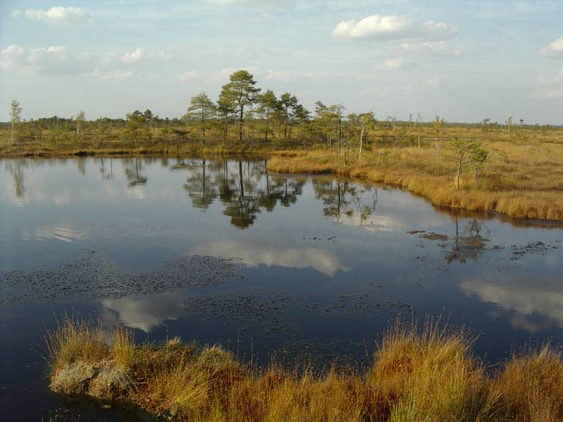2014seeneprax_10b009.jpg