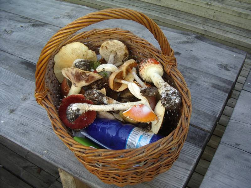 2014seeneprax_10b012.jpg