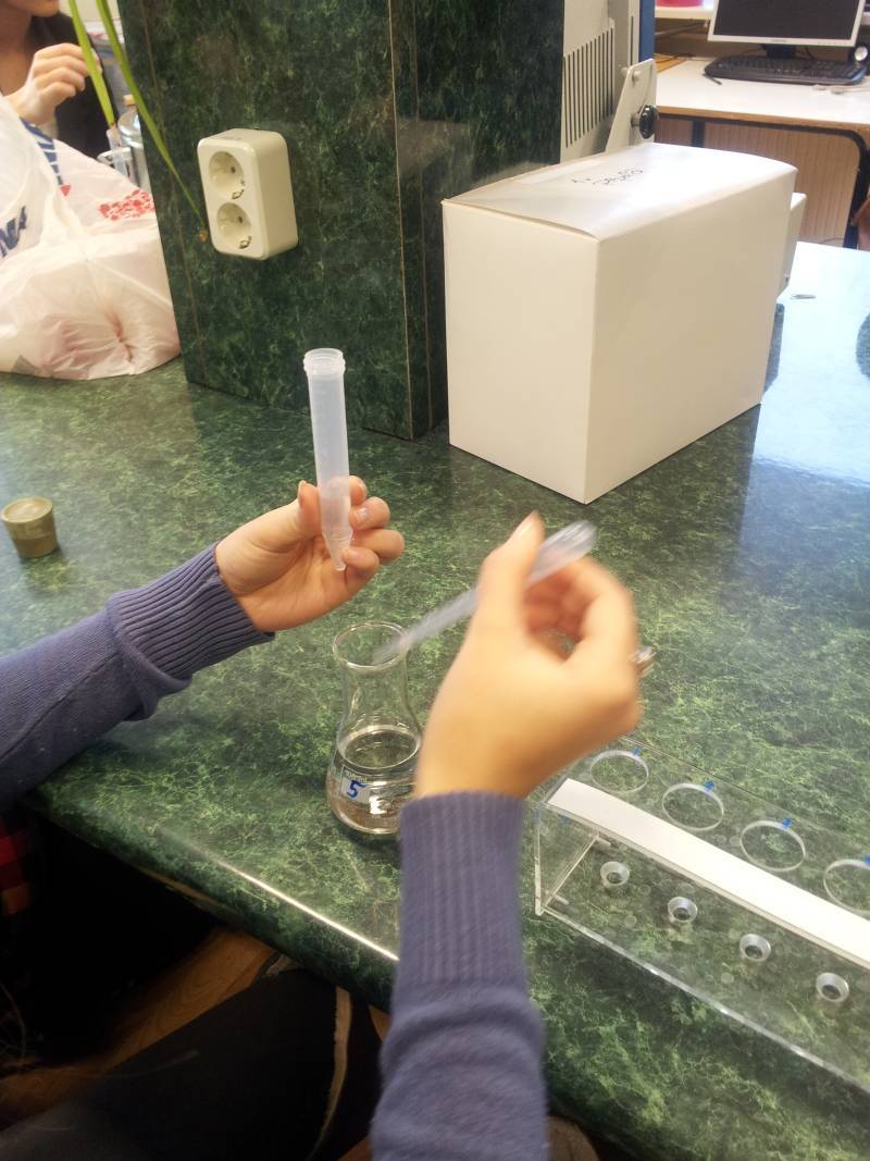 2015_I_TTYTrt_10b003.jpg