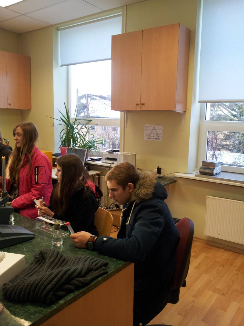 2015_I_TTYTrt_10b015.jpg