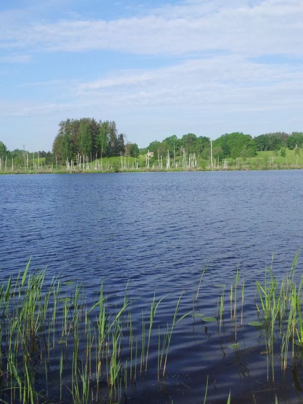 20142015botaanika_Kaika011.jpg