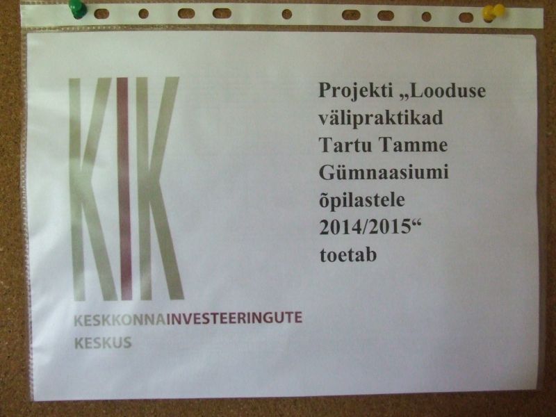 DSCF7478.JPG