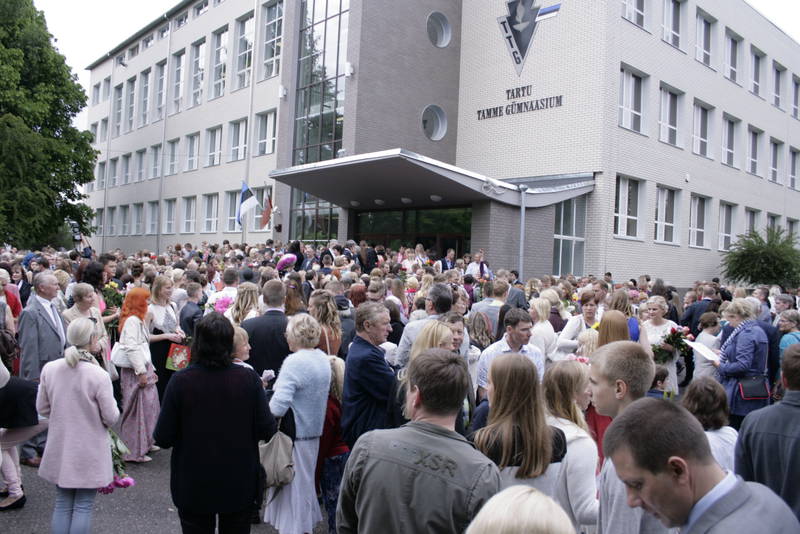 9681.jpg