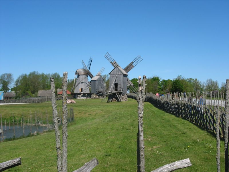 IMG_5912.JPG