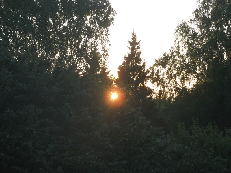 IMG_6009.JPG