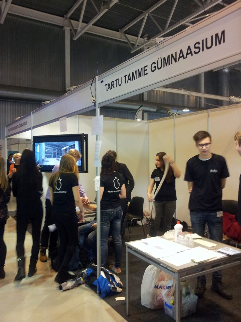2015Intellektika019.jpg