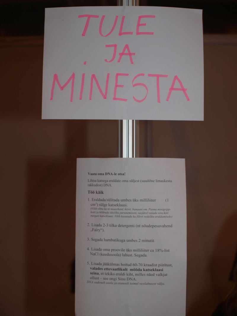 2015Intellektika020.jpg