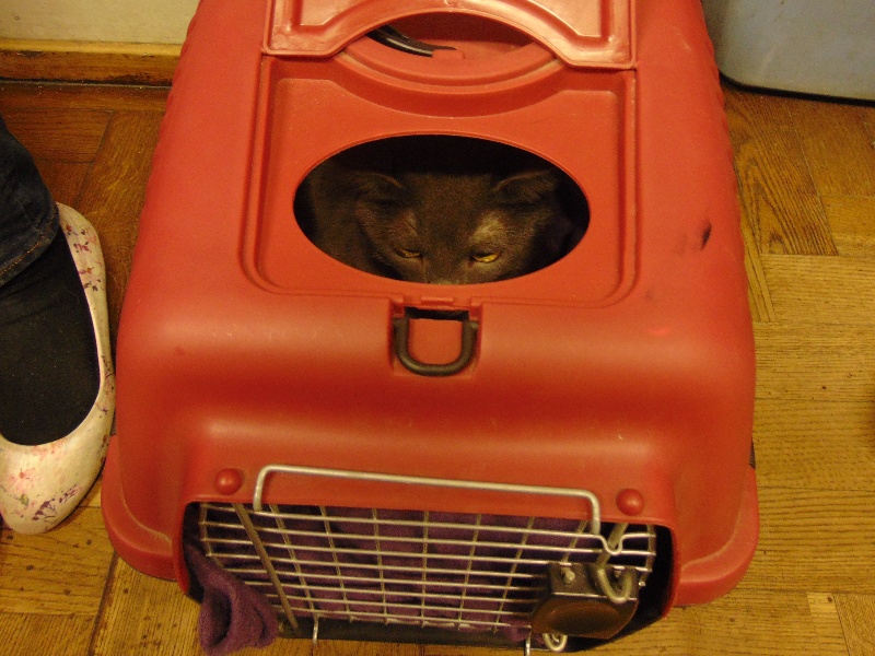 ASIDSC00077.jpg