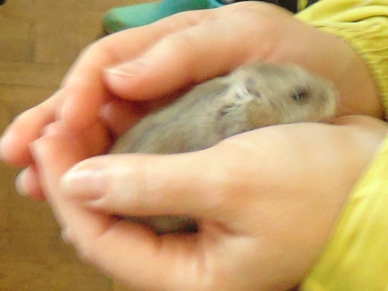 ASIDSC00088.jpg