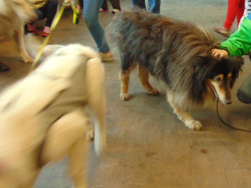ASIDSC00095.jpg
