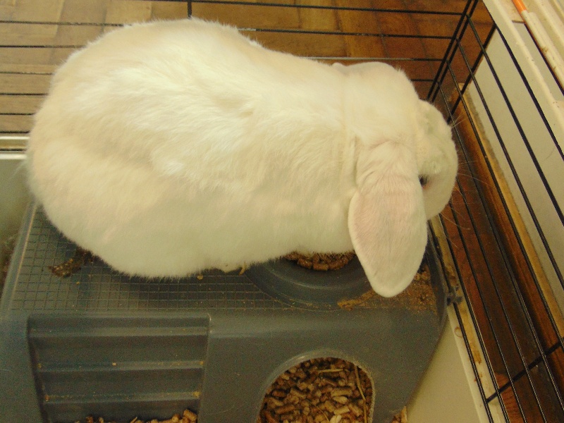 ASIDSC00107.jpg