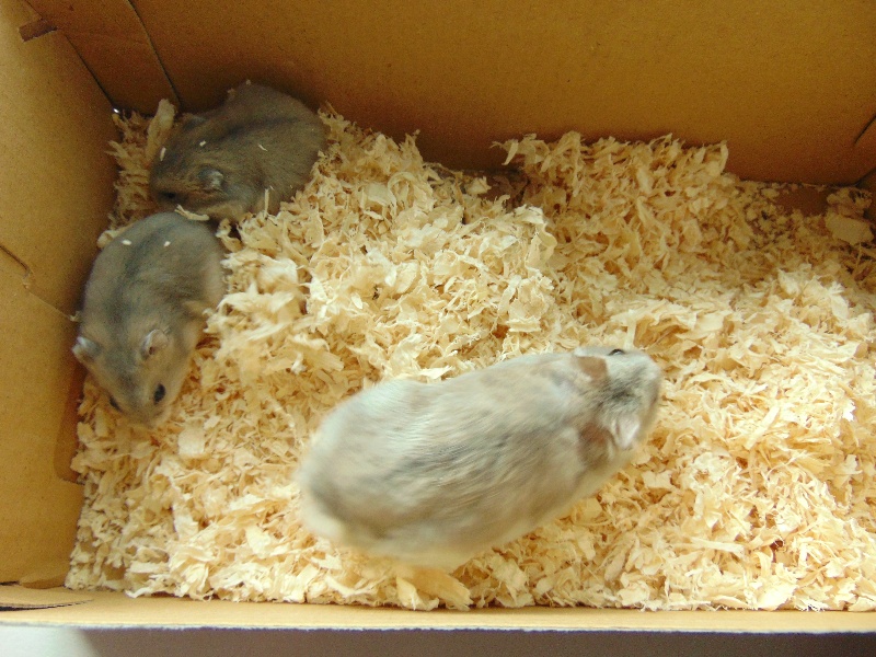 ASIDSC00111.jpg
