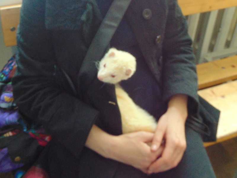 ASIDSC00114.jpg