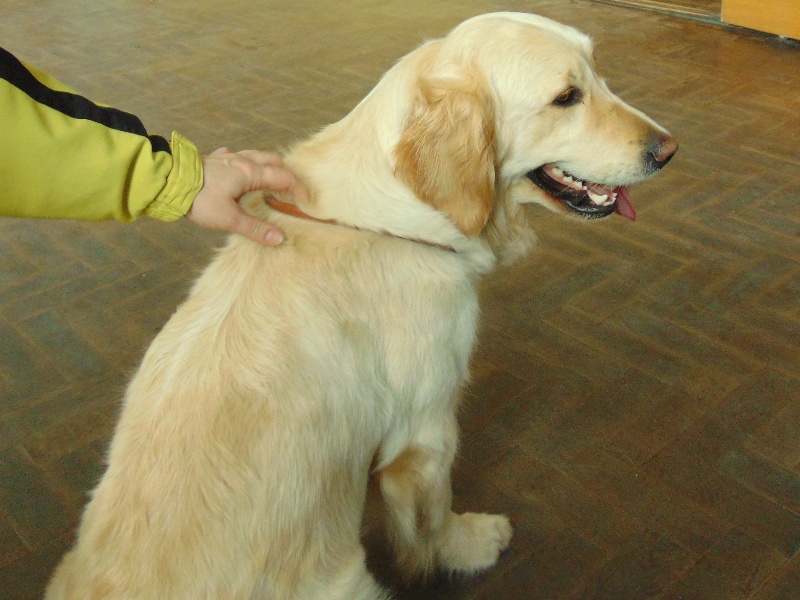 ASIDSC00115.jpg