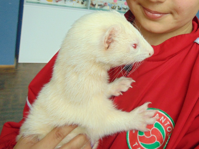 ASIDSC00117.jpg