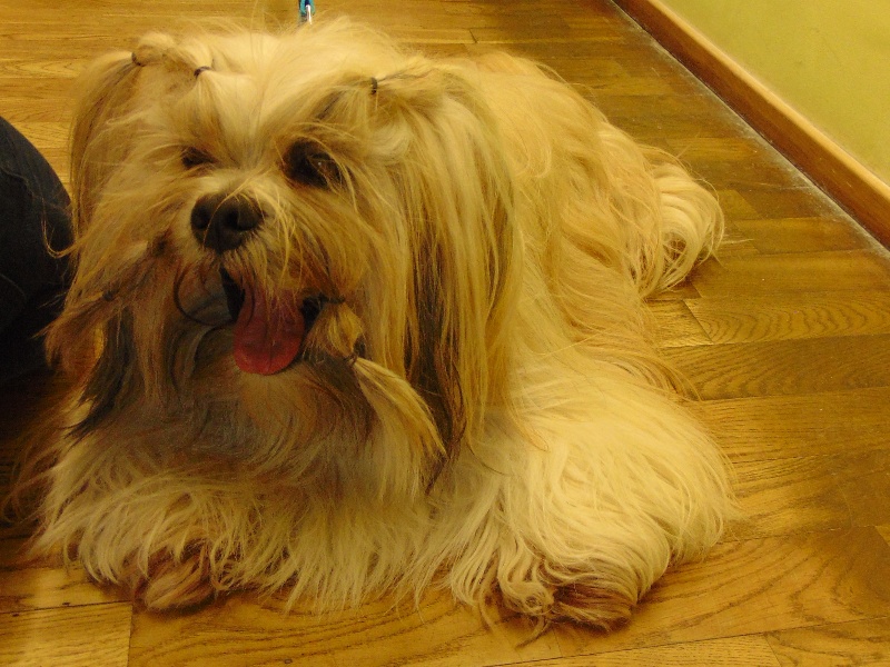 ASIDSC00124.jpg