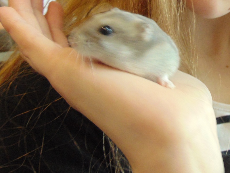ASIDSC00126.jpg