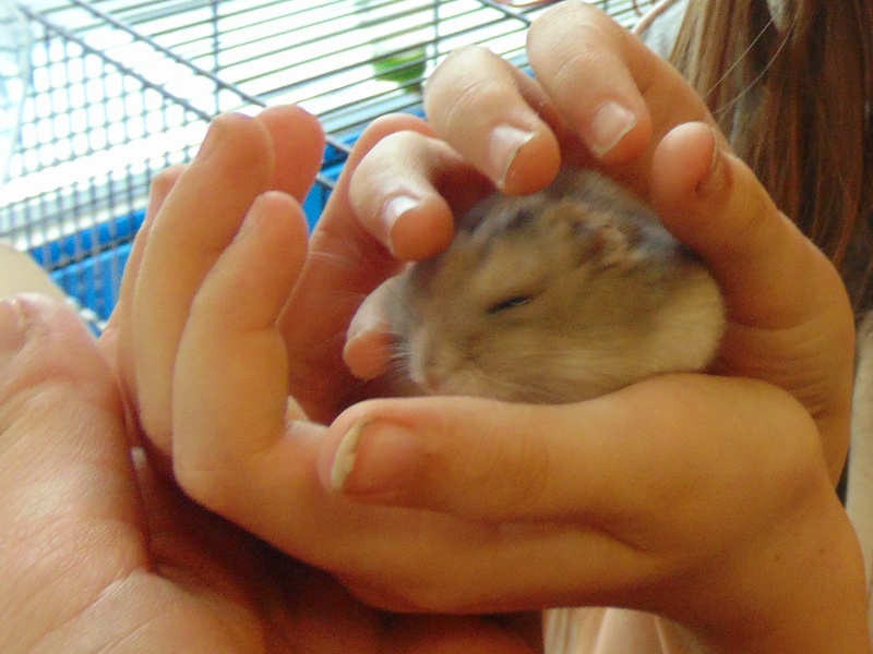 ASIDSC00127.jpg