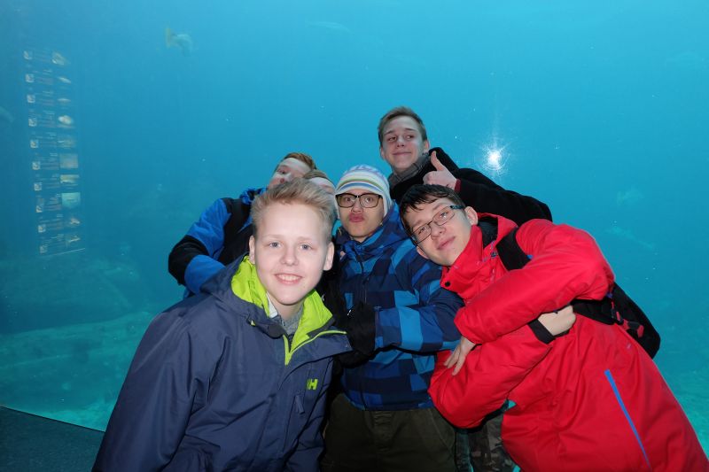 dscf1733.jpg