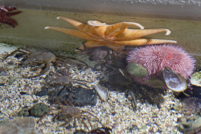 dscf1759.jpg