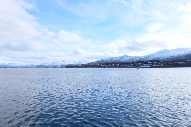 dscf1780.jpg