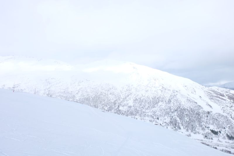 dscf1855.jpg
