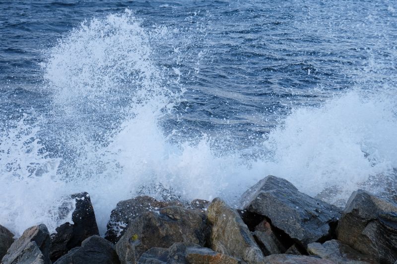 dscf1894.jpg