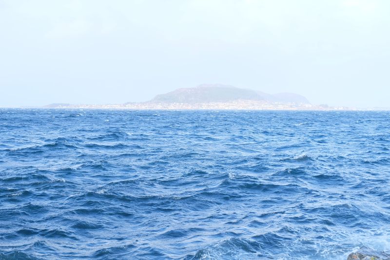 dscf1895.jpg