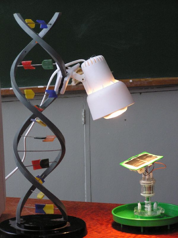 27dna.jpg