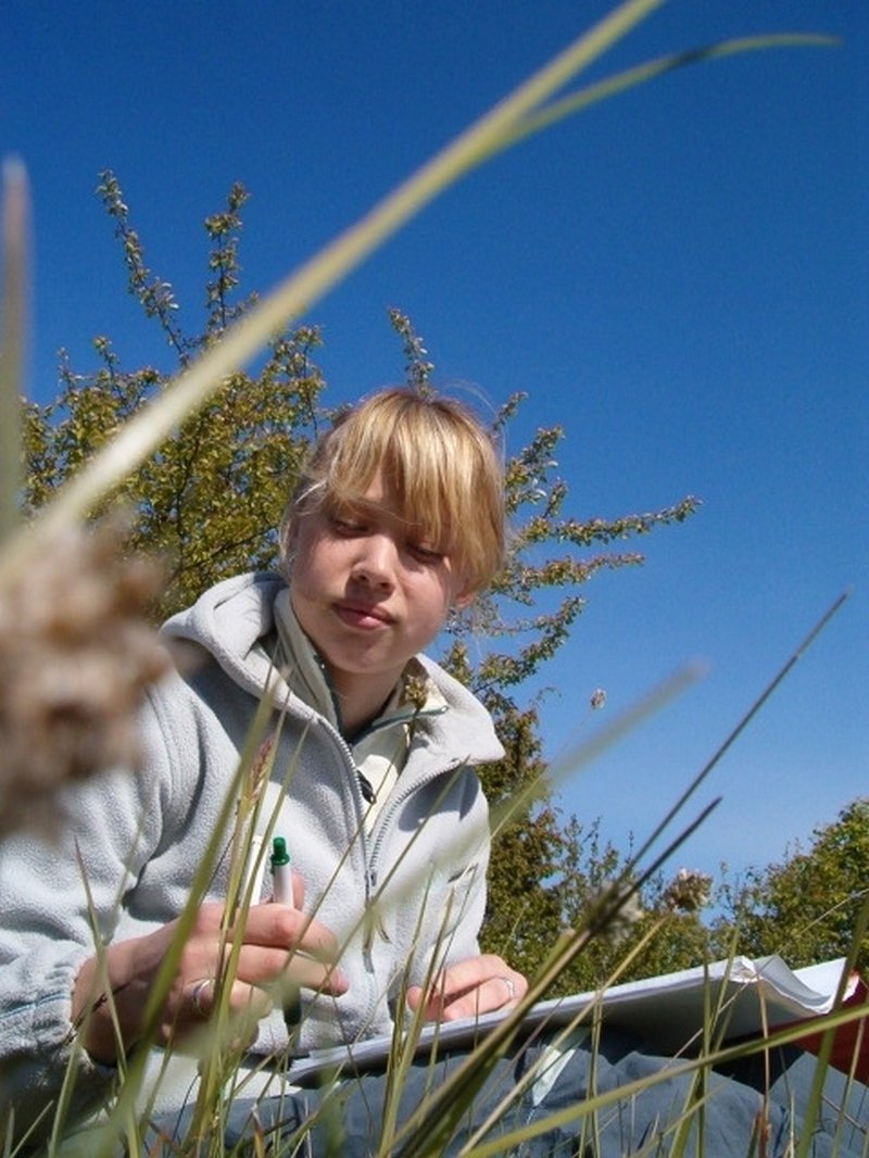 100.jpg
