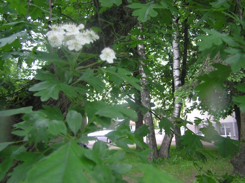 2013-05-29-32.jpg